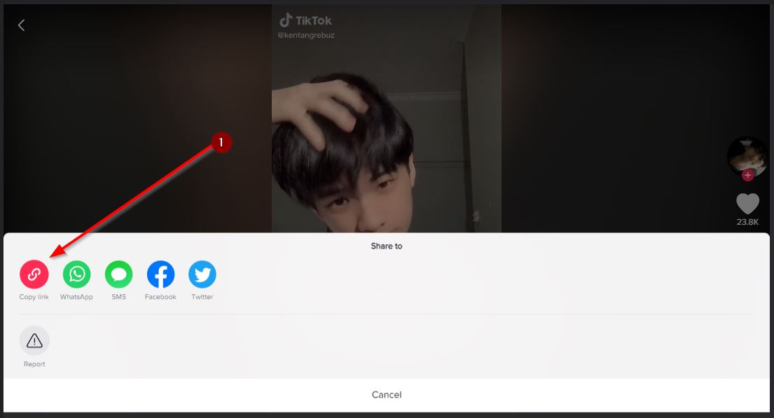 copy link from tiktok apps